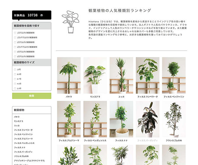 観葉植物通販HitoHana3_baku-blog.com